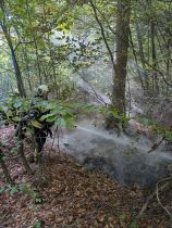 F WALD 1